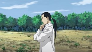 Fullmetal Alchemist: Brotherhood: Season 1 Episode 52