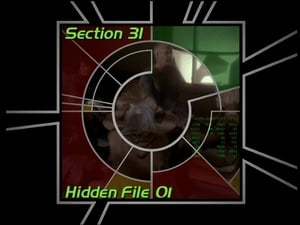 Image Section 31: Hidden File 01 (S04)