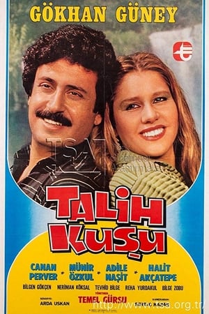 Talih Kuşu poster