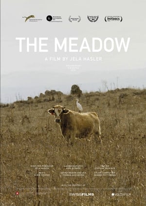 Image The Meadow