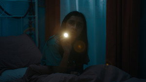 Roshni 3