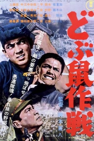 どぶ鼠作戦 1962