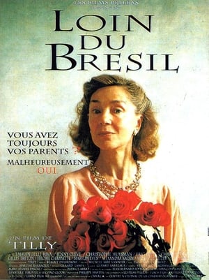 Poster Loin du Brésil 1992