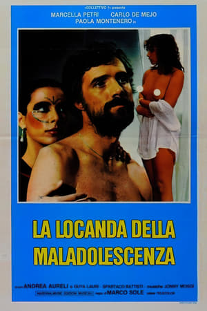 Poster La locanda della maladolescenza 1980