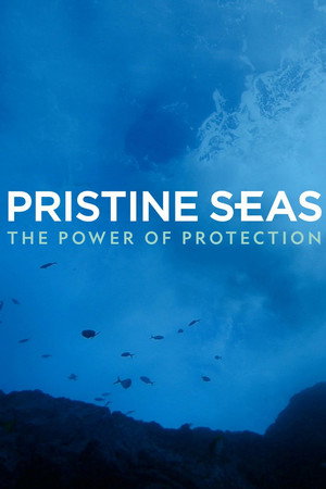 Pristine Seas: The Power of Protection 10
