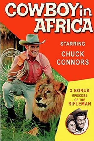 Cowboy in Africa poster