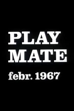 Poster Play Mate febr. 1967 (1967)