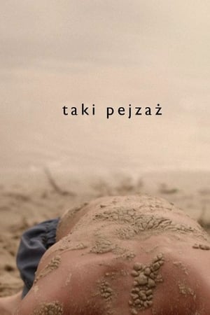 Poster Taki pejzaż 2013