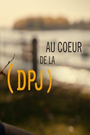Au cœur de la DPJ Au cœur de la DPJ