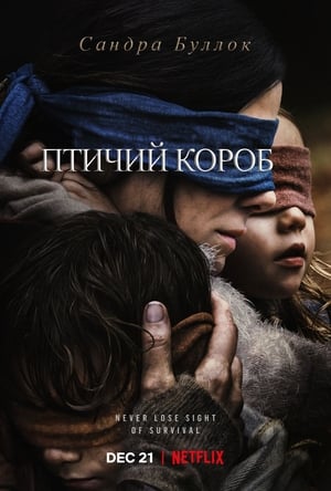 Poster Птичий короб 2018