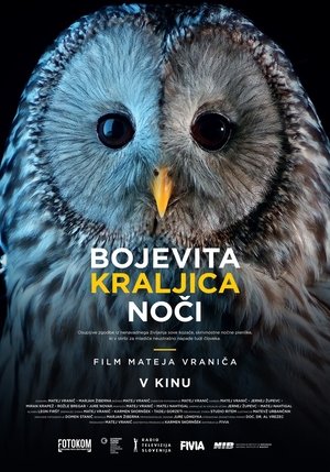 Image Bojevita kraljica noči