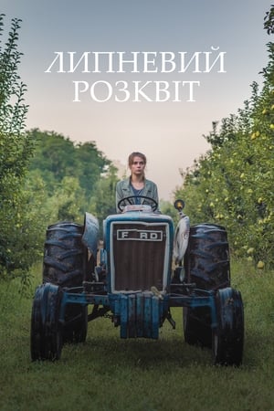 Image Липневий розквіт