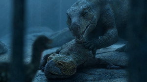 series image