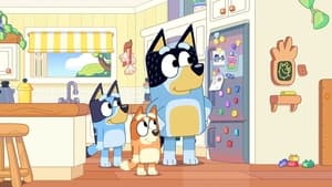 Bluey: 3×1