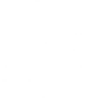 The Boy Next World