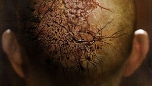 Afflicted (2013)