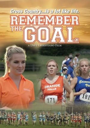 Poster Remember the Goal 2016