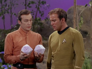 Star Trek - Star Trek - Saison 2 - Tu n'es que poussière - image n°2