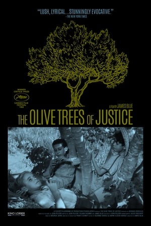 Les oliviers de la justice poster