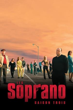 Les Soprano: Saison 3