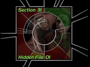 Image Section 31: Hidden File 01 (S03)