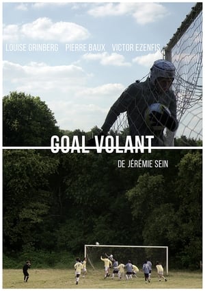 Poster Goal Volant (2016)