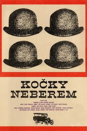 Poster Kočky neberem (1967)