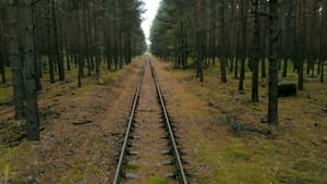 What on Earth? Nazi Doomsday Forest