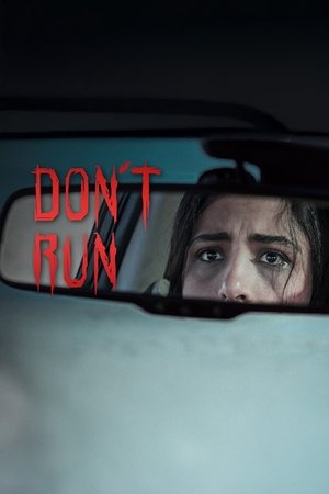 Póster oficial de la película Don't Run