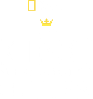 D-Day: El Rey que Engañó a Hitler