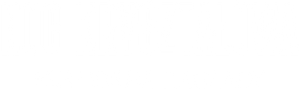 La Nuit de cristal : Les pogroms de novembre