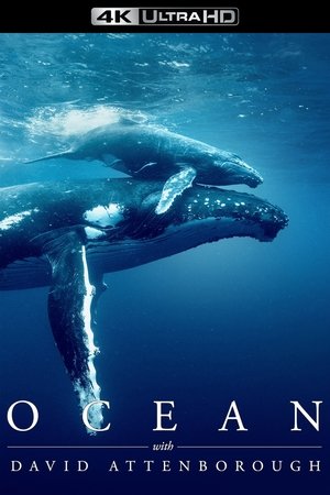 poster Ocean with David Attenborough