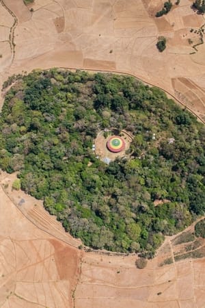 The Church Forests of Ethiopia