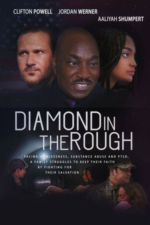 Diamond in the Rough 10