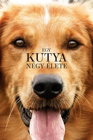 Poster Egy ​kutya négy élete 2017