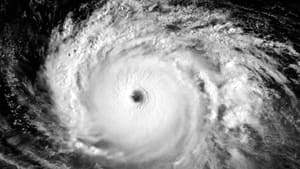 Eyewitness to History: Hurricane Season 2004