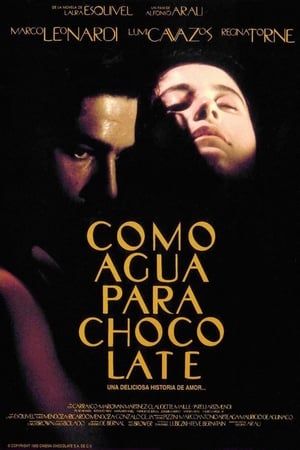 Poster Como agua para chocolate 1992