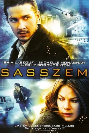 Poster Sasszem 2008