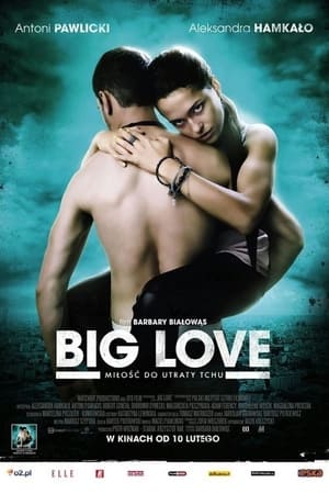 Poster Шалене кохання 2012