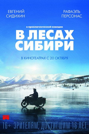In the Forests of Siberia