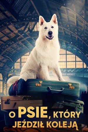 Image O psie, który jeździł koleją