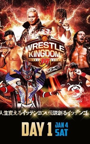 NJPW Wrestle Kingdom 14: Night 1 poster