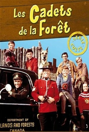 The Forest Rangers poster