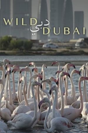 Image Wild Dubai