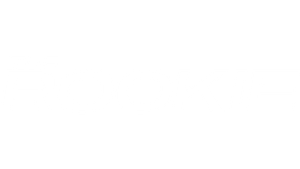O Novato