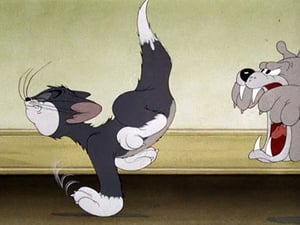 Tom And Jerry: 1×5