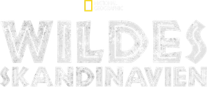 Wild Nordic — Logos 3