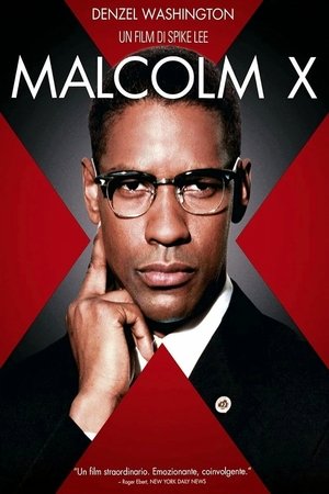 Image Malcolm X