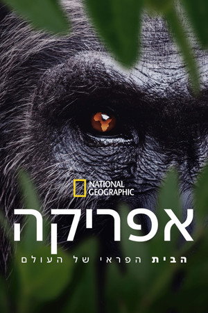 Africa Earth's Wild Home