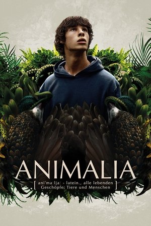 Poster O Reino Animal 2023